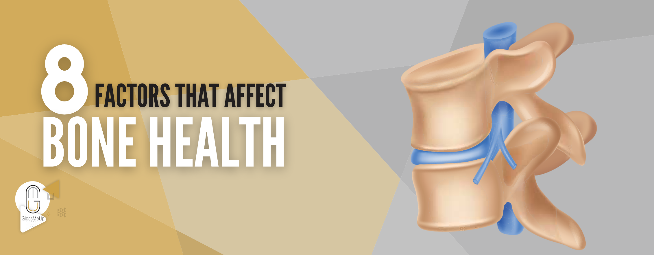 8 factors that effect bone health