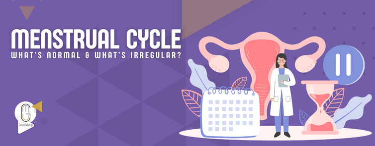 Menstrual Cycle